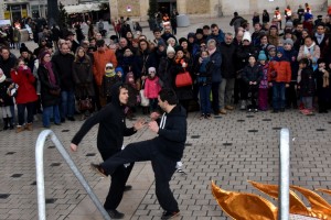 hunggarnancy-artsmartiaux-wushu-kungfu-nouvelanchinois-28janvier2017-18